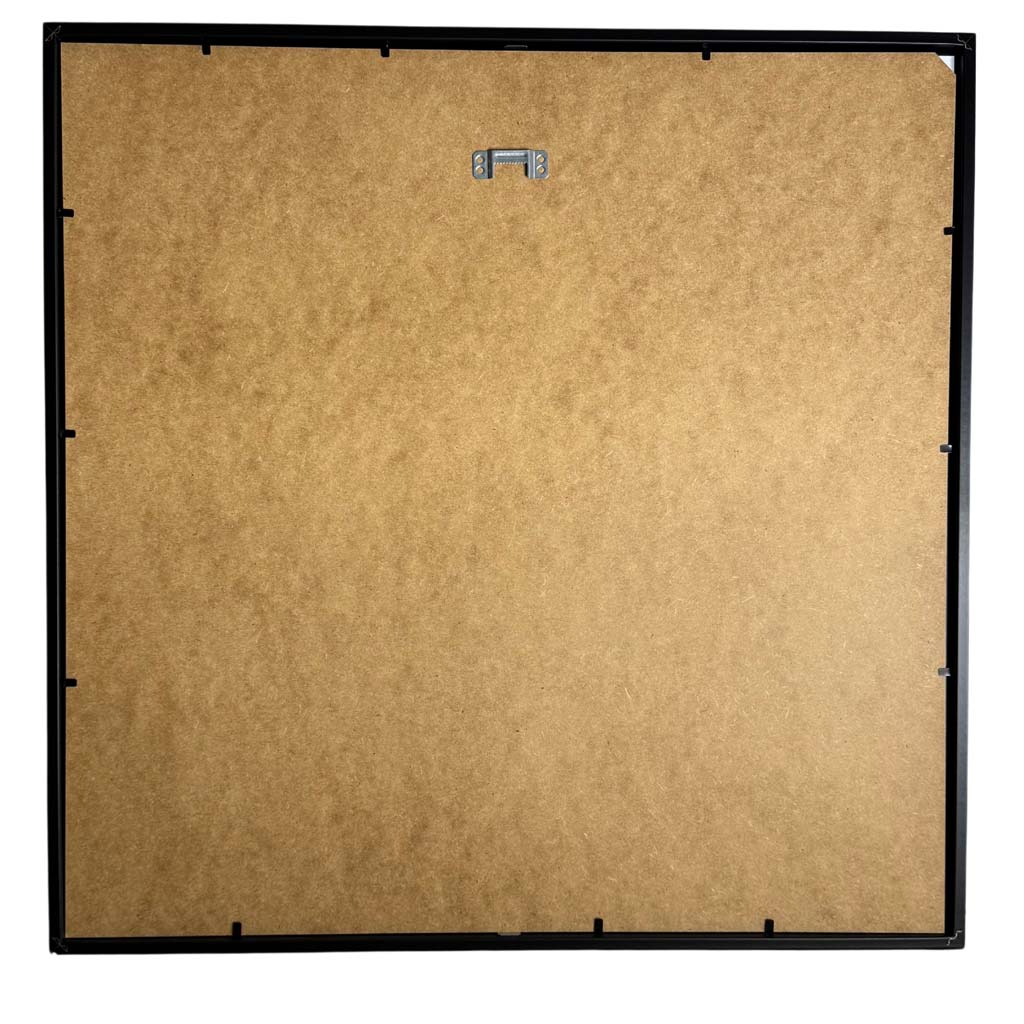 Harmony in Flight - Hypolimnas pandarus - Parthenos sylvia - 50 x 50cm