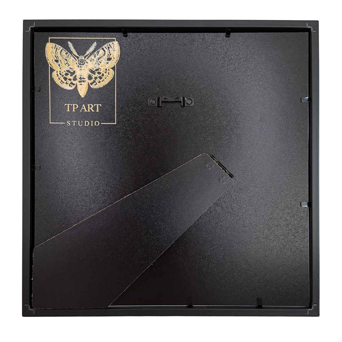 Scarlet Harmony - Cymothoe sangaris - 25 x 25cm