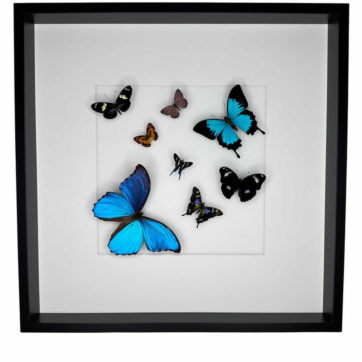 Heavenly wings - 50 x 50cm