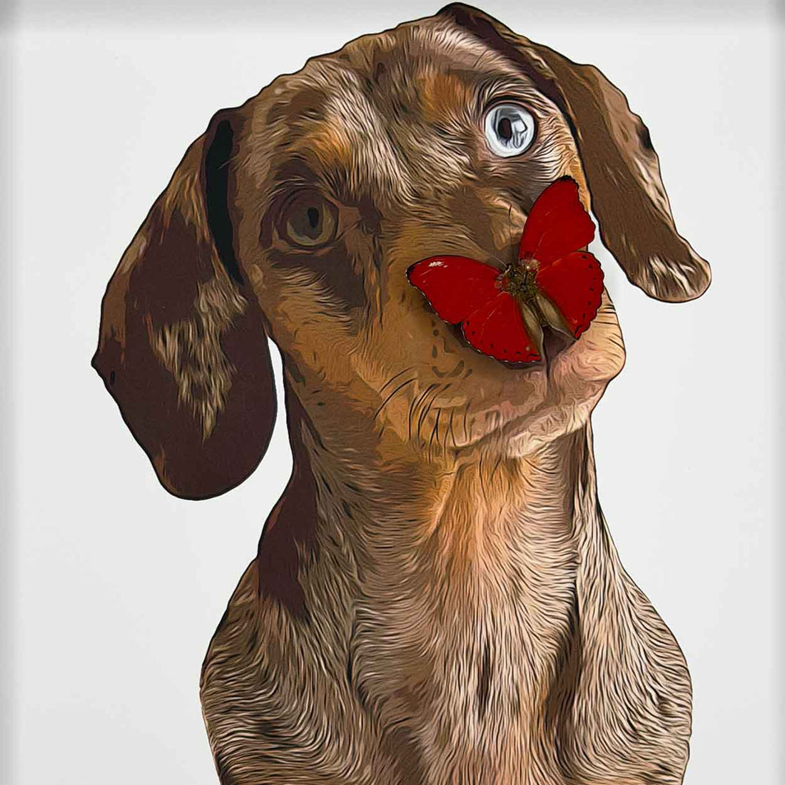 Personalized butterfly portraits - 25 x 25cm