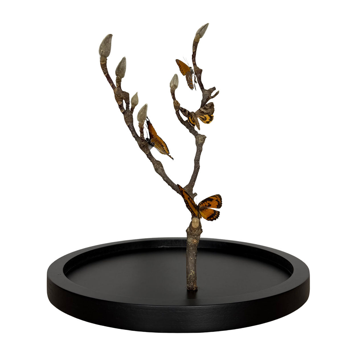 Whispers of Autumn Light - 29,5 x 23cm